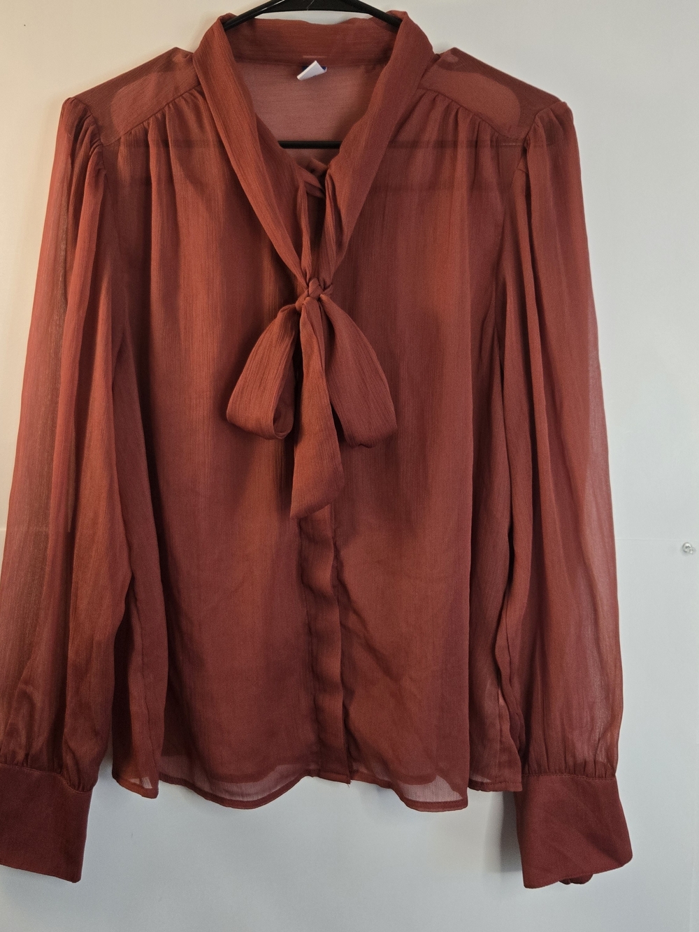 Women’s Tie-Neck Long Sleeve Blouse - Rust